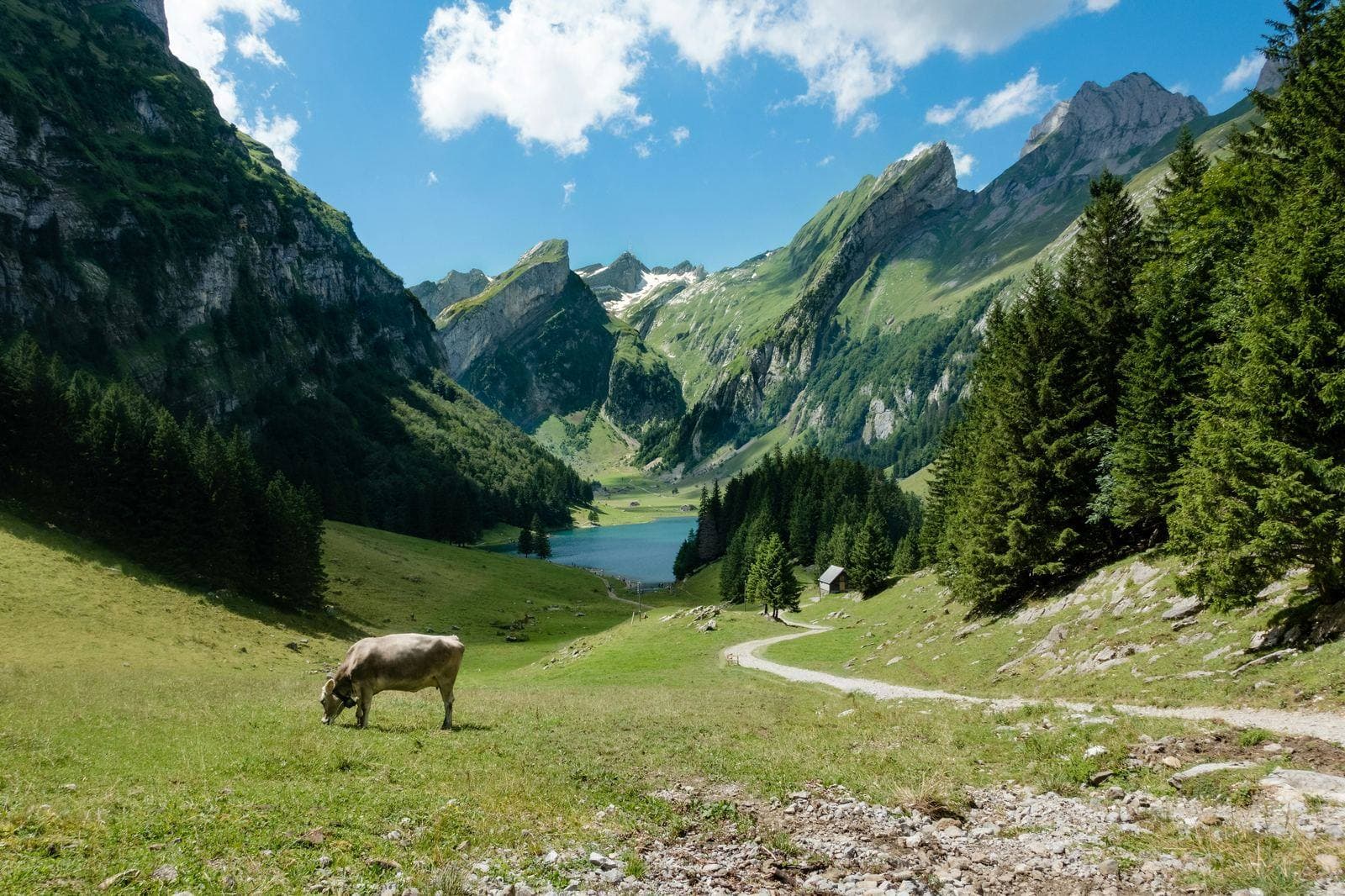 Mit Kindern unterwegs: Kindersitz-Regeln und Familien-Transfers in der Schweiz